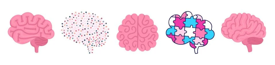 Set of vector brains. Illustrations for label of medicine, advertisement post Stock-Illustration