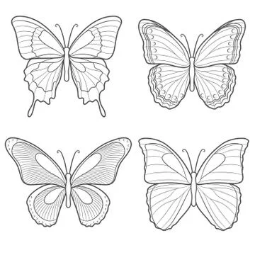 Set of vector butterflies. Isolated objects. Stock Illustration