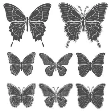 Set of vector butterflies. Isolated objects. Illustrazione stock