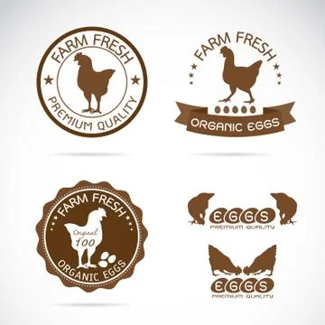 Set of vector an chicken and eggs label on white background, Logo, Symbol Illustration