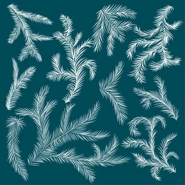 Set vector Christmas tree branch for decorate . Easy to make your own one. Stock Illustration