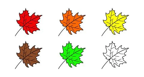 Set of vector color maple leaves, isolated on the white background Stock Illustration