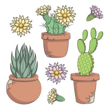 Set of vector colored cactus with flowers in old pots. Stock Illustration