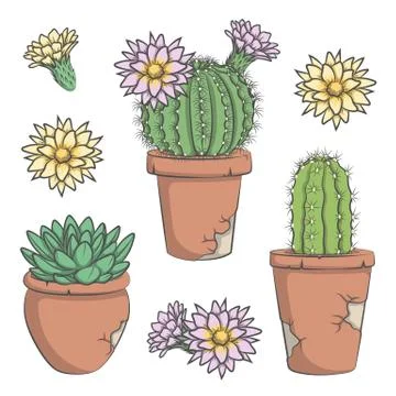 Set of vector colored cactus with flowers in old pots. Stock-Illustration
