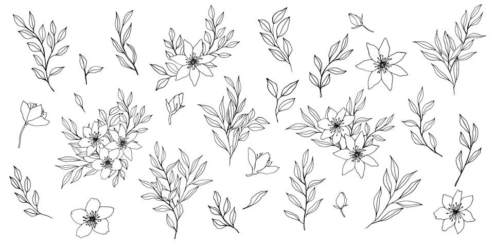 Set of vector composition with flower, leaves and branch. Elegant art for Stock Illustration