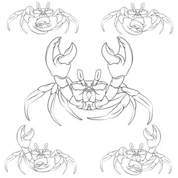 Set of vector crabs illustrations. Stock Illustration