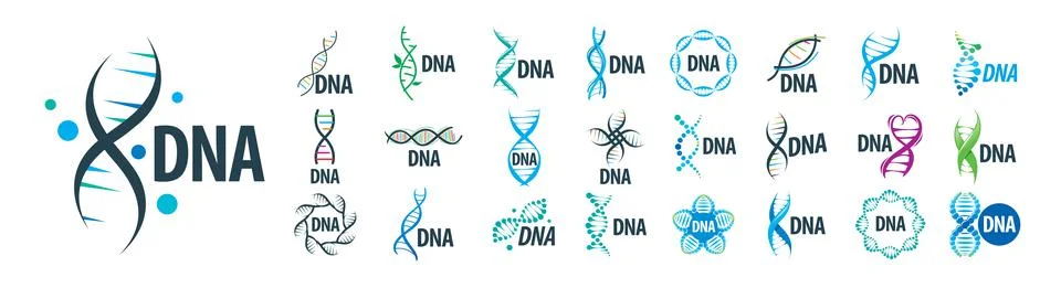 A set of vector DNA logos on a white background Illustration