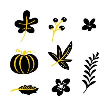 Set of vector doodle floral elements. Autumn collection. Herbs, leaves, pumpk Stock Illustration