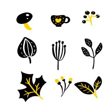 Set of vector doodle floral elements. Autumn collection. Herbs, leaves, mushr Stockillustratie