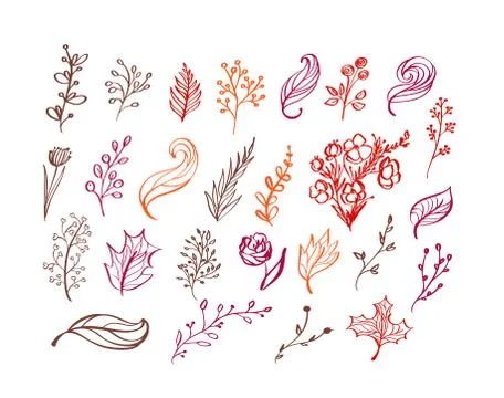 Set of vector doodle floral elements. Autumn collection. Flower graphic design 스톡 일러스트