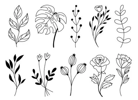 Set of vector doodle hand drawn floral elements 스톡 일러스트