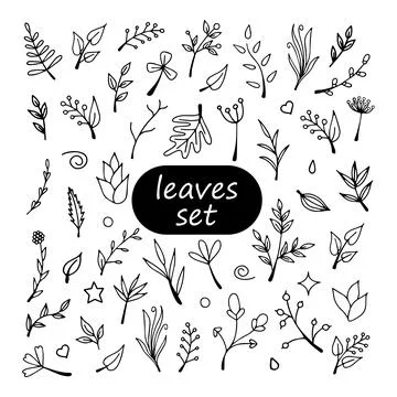 Set of vector doodle leaves and twigs Ilustración de archivo