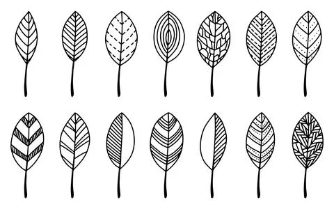 Set of vector doodle leaves. Black contour hand drawing of leaves for stick.. Stock Illustration