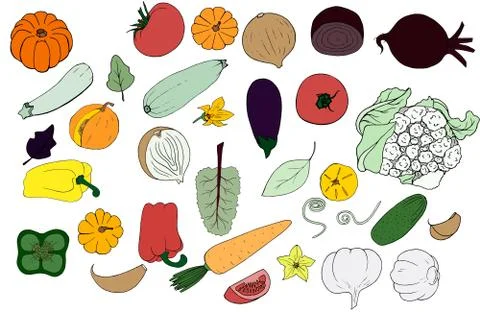 Set of vector Doodle vegetables Stock Illustration