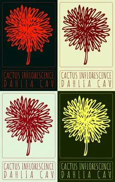 Set of vector drawing CACTUS INFLORESCENCE in various colors. Hand drawn il.. Stock Illustration