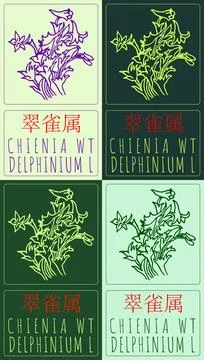 Set of vector drawing CHIENIA WT in Chinese in various colors. Hand drawn i.. Stock Illustration