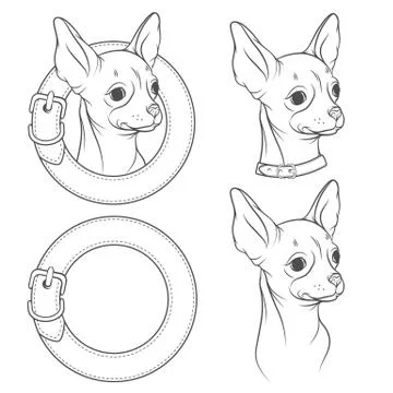 Set of vector drawing of the chihuahua in the collar. Isolated objects. Stock Illustration