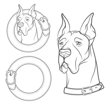 Set of vector drawing of the dog in the collar. Isolated objects on a white. Stock Illustration