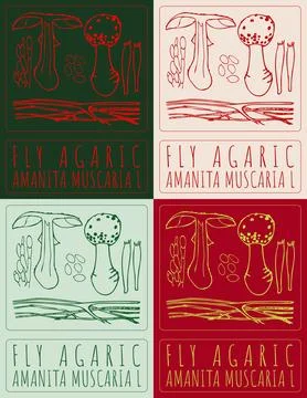 Set of vector drawing FLY AGARIC in various colors. Hand drawn illustration.  Stockillustratie