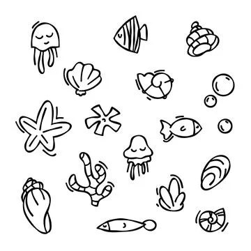 Set of vector elements in doodle style. drawn seashells, starfish, black ou.. Stock Illustration