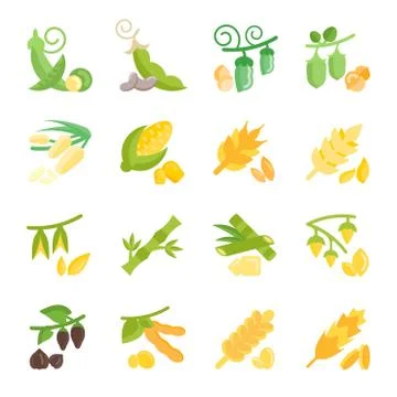Set Vector Flat Icons of Beans and Cereals Free Stock Illustration