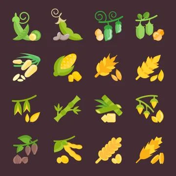 Set Vector Flat Icons of Beans and Cereals Free Stock Illustration