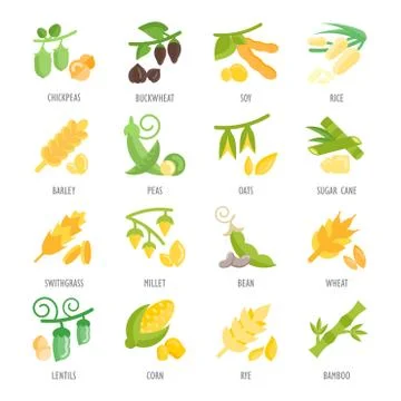 Set Vector Flat Icons of Beans and Cereals Free Stock Illustration