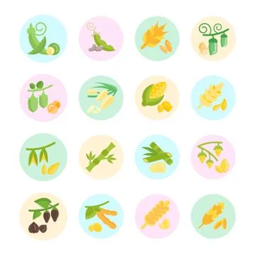 Set Vector Flat Icons of Beans and Cereals Free Stock Illustration