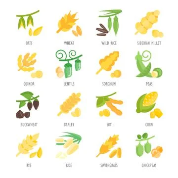Set Vector Flat Icons of Groats Grats Stockgrafik