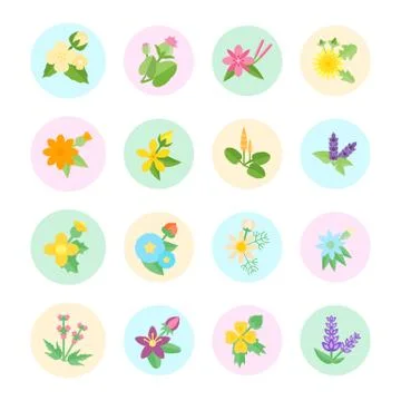 Set Vector Flat Icons of Herbs Free Stock Illustration