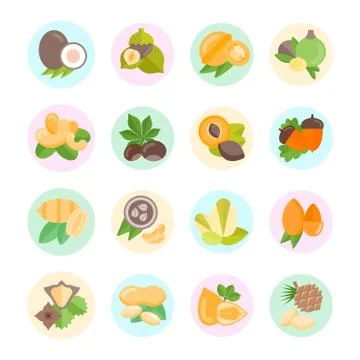 Set Vector Flat Icons of Nuts Free Stock Illustration