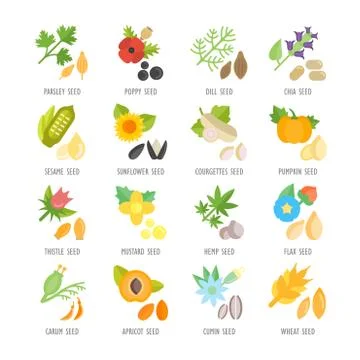 Set Vector Flat Icons of Seeds Free Stock Illustration