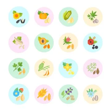 Set Vector Flat Icons of Seeds Selección de ilustraciones gratis