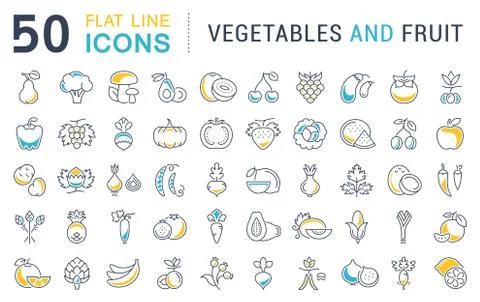 Set Vector Flat Line Icons Vegetables and Fruit イラスト素材