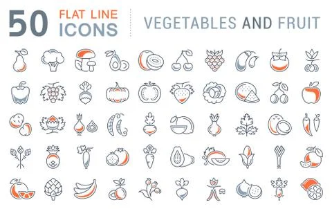 Set Vector Flat Line Icons Vegetables and Fruit Stock Illustration