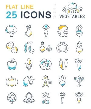 Set Vector Flat Line Icons Vegetables Stock Illustration