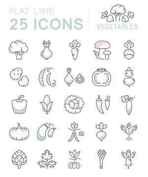 Set Vector Flat Line Icons Vegetables Illustrazione stock