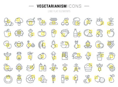 Set Vector Flat Line Icons Vegetarianism Stock Illustration