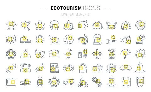 Set Vector Flat Line Icons Ecotourism イラスト素材