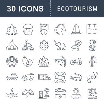 Set Vector Flat Line Icons Ecotourism イラスト素材