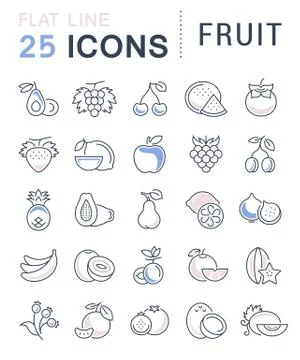 Set Vector Flat Line Icons Fruit Stock Illustration