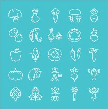 Set Vector Flat Line Icons Vegetables Stock Illustration