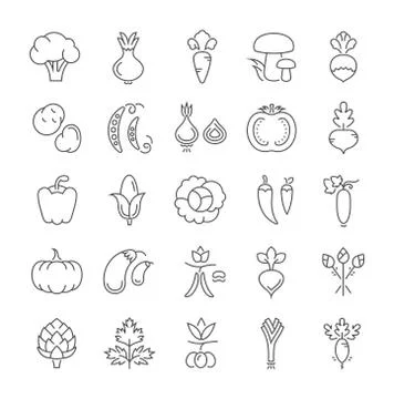 Set Vector Flat Line Icons Vegetables Stock Illustration