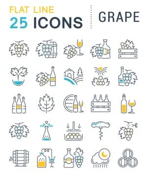 Set Vector Flat Line Icons Grape Free Stock Illustration