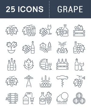 Set Vector Flat Line Icons Grape 무료 스톡 일러스트