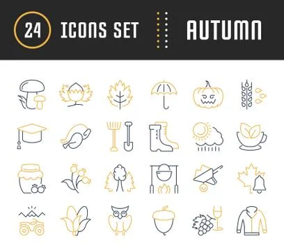 Set Vector Flat Line Icons Autumn Free Stock Illustration