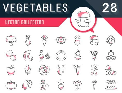 Set Vector Flat Line Icons Vegetables Illustrazione stock gratuita