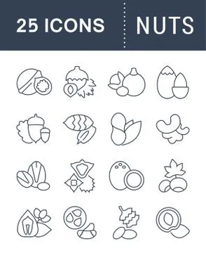 Set Vector Flat Line Icons of Nuts Free Stock Illustration