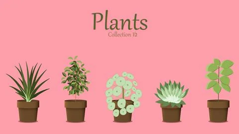 Set of Vector Flat Plants on a Pink Background Stock Illustration