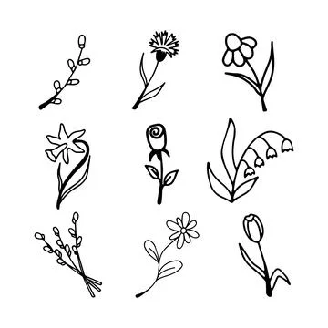 Set of vector floral doodles Stock Illustration